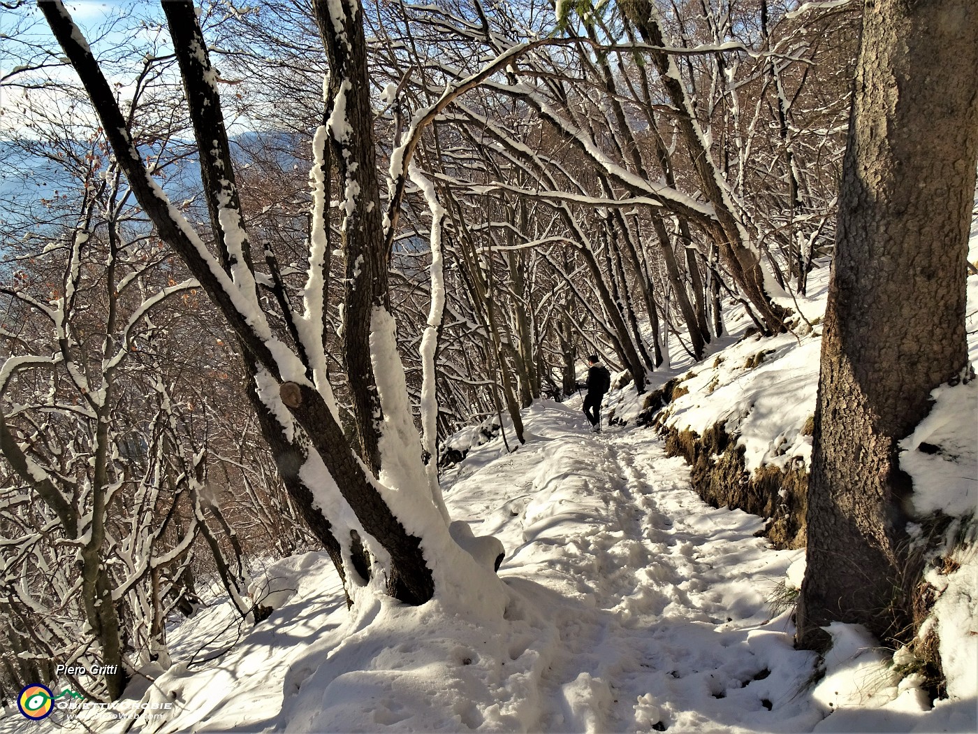 61 La neve fresca e soffice permette una facile divertente discesa.JPG